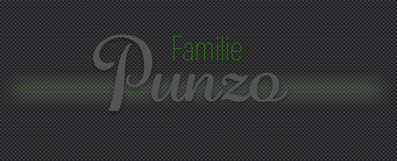 Familie Punzo